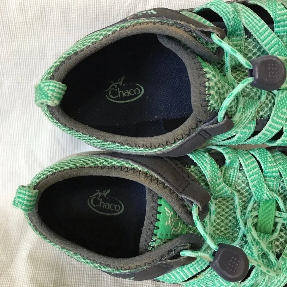Chaco outcross blue